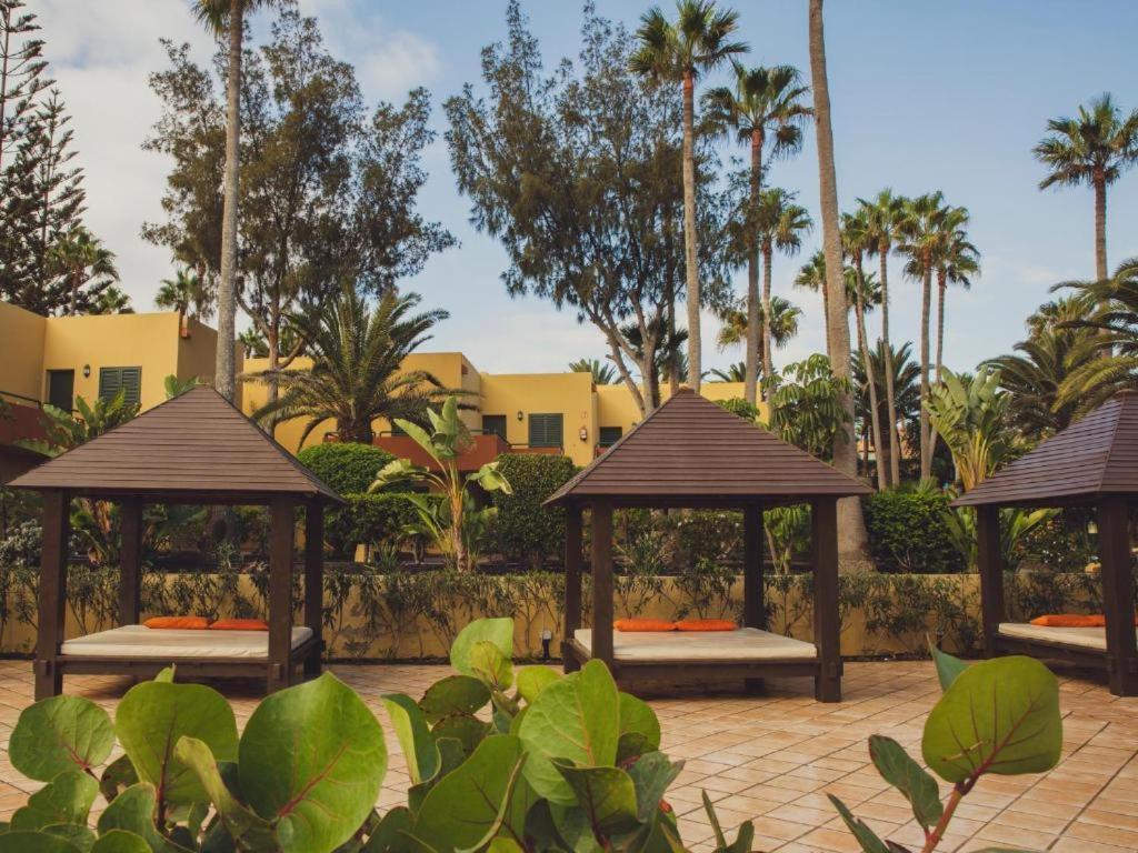 Pachi Beach Atlantic Garden Κοραλέχο Εξωτερικό φωτογραφία