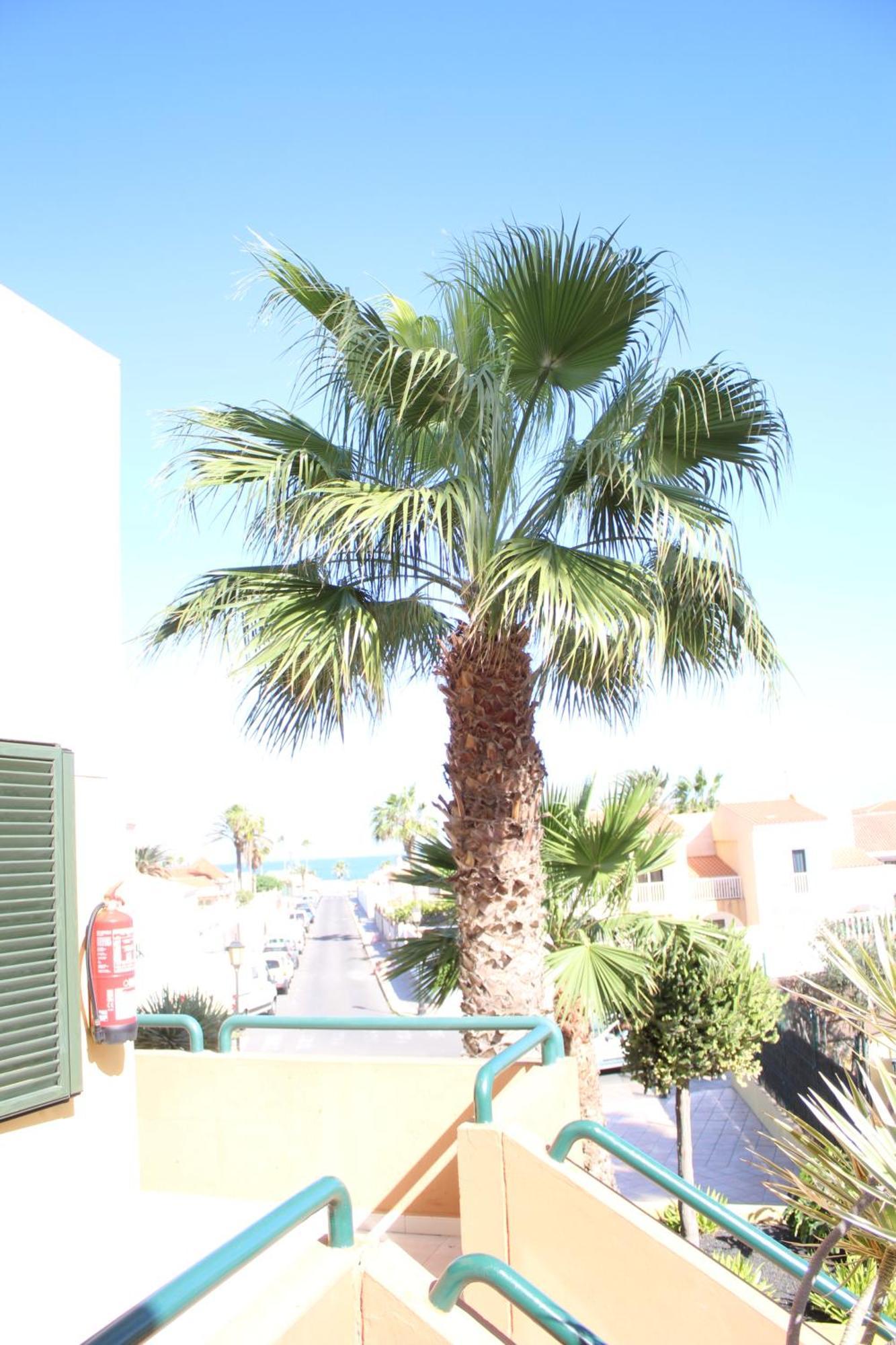 Pachi Beach Atlantic Garden Κοραλέχο Εξωτερικό φωτογραφία